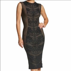 Dress the population Ashton lace dress